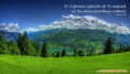 /album/fondos-de-pantalla/a897-jpg/