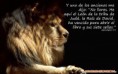 /album/animales/el-rey-1280x1024-jpg1/