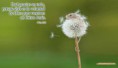 /album/animales/a43-jpg/